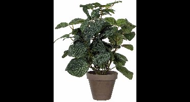 Kunstplant Pilea Groen - H 35cm - Keramiek sierpot - Mica Decorations