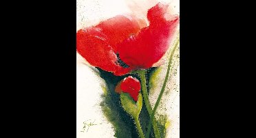 Kunstdruk Gerd Pflumm - Faszination Mohn II 60x80cm