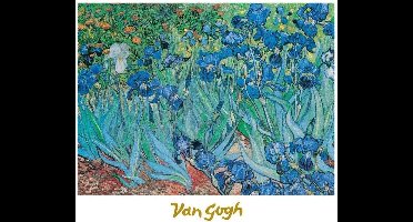 Kunstdruk Vincent Van Gogh - Iris 30x24cm