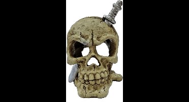 Superfish Aquariumdecoratie Piraat LED