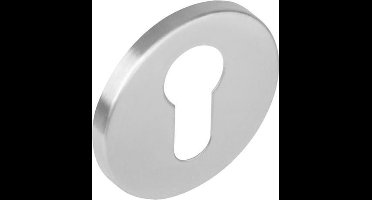 Intersteel Rozet profielcilindergat verdekt rvs geborsteld