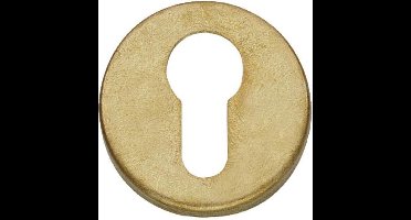 Intersteel Rozet profielcilindergat rond messing getrommeld