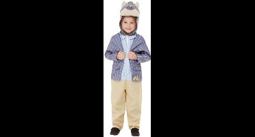 Smiffys Kinder Kostuum -Kids tm 4 jaar- Wind In The Willows Ratty Deluxe Multicolours