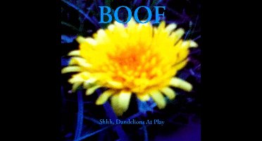 Shhh, Dandelions at Play