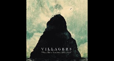 Villagers - Where Have You Been All.. (Cd)