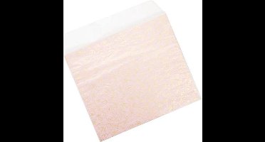 Pergamijn Envelopjes 28x24cm (100 stuks) | pergamijn zakjes | glassine zakjes