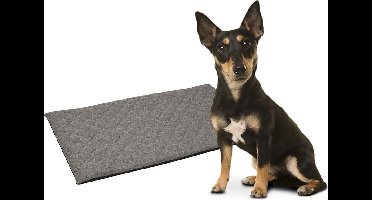 Flamingo Mano - Kussen Honden - Kussen Mano Rechthoekig+rits Plat Grijs 55x38,5x3cm - 1st - 119436 - 1st