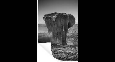 Muurstickers - Sticker Folie - Olifant - Vlakte - Dieren - Zwart - Wit - 20x30 cm - Plakfolie - Muurstickers Kinderkamer - Zelfklevend Behang - Zelfklevend behangpapier - Stickerfolie