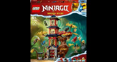 LEGO NINJAGO Tempel van de drakenenergiekernen Dragon Rise Set - 71795