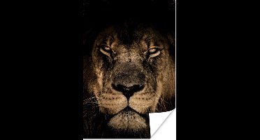 Poster Leeuw - Dieren - Leeuw - Zwart - Portret - 20x30 cm