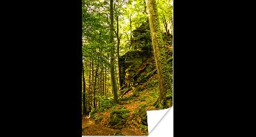 Poster Bomen - Steen - Bos - Natuur - Planten - 20x30 cm