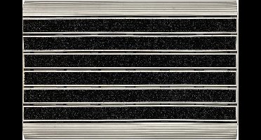 Schoonloopmat ProfileClean - 59x39 cm - voor Binnen en Buiten