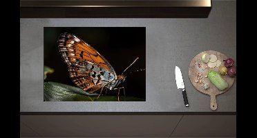 Inductieplaat Beschermer - Acraea vlinder zit op groen blad met zwarte achtergrond - 71x52 cm - 2 mm Dik - Inductie Beschermer - Bescherming Inductiekookplaat - Kookplaat Beschermer van Wit Vinyl