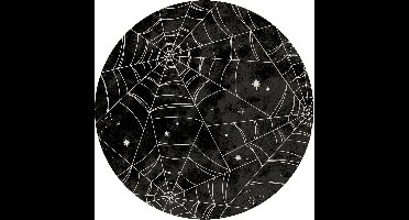 RIETHMULLER - 6 Kartonnen borden spinnenweb 23 cm