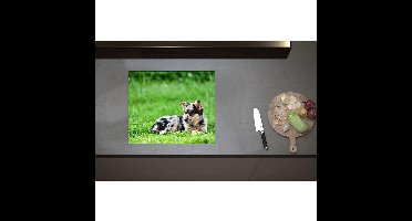 Inductieplaat Beschermer - Australische Herder Puppy Liggend in het Groene Grasveld - 59x50 cm - 2 mm Dik - Inductie Beschermer - Bescherming Inductiekookplaat - Kookplaat Beschermer van Zwart Vinyl