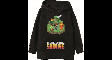 Minecraft kindertrui 12 jaar