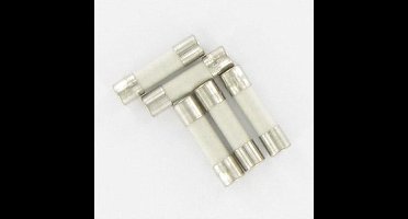 Kopp zekering 2A glas snel - 5 x 20 mm - 5 stuks - voor dimmers
