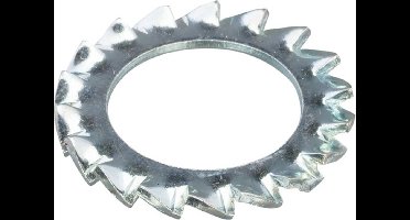 Hoenderdaal Tandveerring staal verzinkt M10 din6798az - doos à 100 stuks