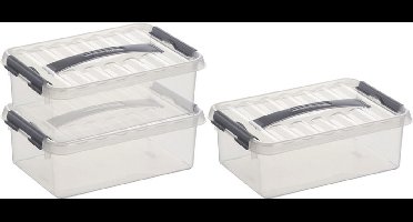 3x sunware q-line opberg box/opbergdoos - 4 liter - 30 x 20 x 10 cm - kunststof - opslagbox - transparant/zilver