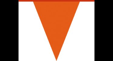 Boland - PE vlaggenlijn Oranje - Voetbal - Koningsdag - Holland - Supporter - Voetbal