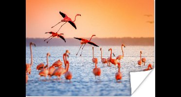 PosterMonkey - Poster - Fotolijst - Vogel - Flamingo - Zonsondergang - Water - Tropisch - 80x60 cm - Poster in lijst - Poster flamingo - Poster frame - Poster dieren