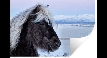 Muurstickers - Sticker Folie - Paard - Sneeuw - IJsland - 30x20 cm - Plakfolie - Muurstickers Kinderkamer - Zelfklevend Behang - Zelfklevend behangpapier - Stickerfolie
