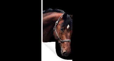 Muurstickers - Sticker Folie - Paard - Licht - Halster - 20x40 cm - Plakfolie - Muurstickers Kinderkamer - Zelfklevend Behang - Zelfklevend behangpapier - Stickerfolie