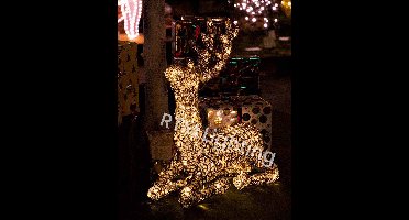 Rendier medium liggend "Exclusivo" - 64cm