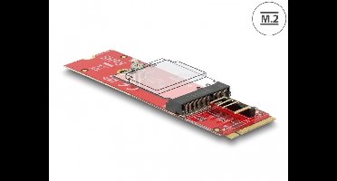 Delock Converter M.2 Key M male > M.2 Key E slot for USB and PCIe modules