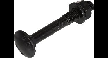 Blackline bevestigingsmaterialen - Slotbout met moer en sluitring – M5 t/m M8 (30–100 mm) - M6 x 60mm / 25