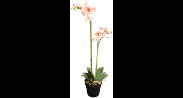 Mica Decorations kunstplant Phalaenopsis h67xD25cms Orchidee zalmon kleur