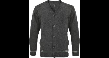 Lochaven Slytherin / Zwadderich V-Neck Cardigan - Lochaven - Harry Potter - Medium