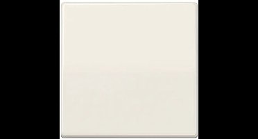 Jung Intelligent Controle Element - AS1700 - E2WD9