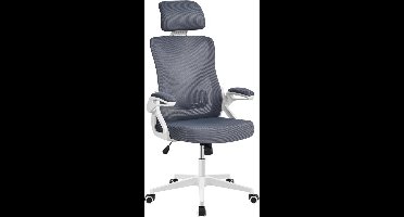 ApexArte® Ergonomische Bureaustoel - Bureaustoelen voor Volwassenen en Kinderen - Gaming Stoel - Chair - Grijs