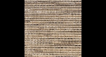 Vloerkleed Xilento Outdoor 4001-71 | 200 x 300 cm