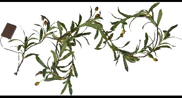 Star Trading 860-54, Sprookjesverlichting, Bruin, Groen, Ambiance, Universeel, IP44, Flexibel