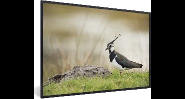 PosterMonkey - Poster - Fotolijst - Vogel - Gras - Landschap - Dieren - 60x40 cm - Posterlijst - Poster vogels - Foto met lijst - Poster dieren - Posters - Frame
