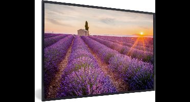 PosterMonkey - Poster - Fotolijst - Lavendel - Bloemen - Zonsondergang - Natuur - Kader - Foto in lijst - 120x80 cm - Poster kader - Poster lavendel - Foto lijst - Woondecoratie