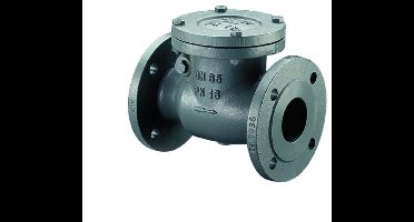Bosch Installatietoebehoren RK16-50 Terugslagklep PN 16 / DN 50, 7736602665