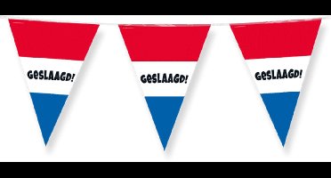 Party flags - Geslaagd rwb