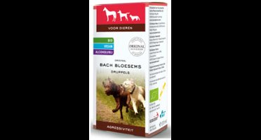 Bach agressief Bach - Big Dog Company