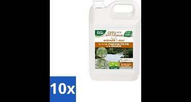 BSI – Cito RTU – Herbicide tegen Onkruid & Mos – 5 L - Bulkverpakking - 10 stuks