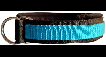 Sliphalsband - Maat M - 4 cm breed - Zwart met turquoise - Halfcheck halsband - Anti trek halsband - Honden halsband - Sterke rassen - Zeer sterk