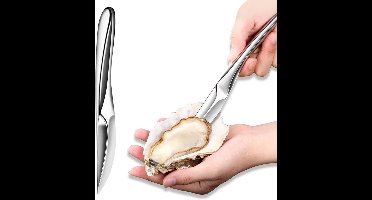 Core® Oestermes - Oesterset - Oestermes en Handschoen - Zilver - 19cm x 2cm x 2cm