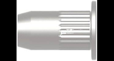 Gesipa 1433709 Popmoer M10 100 stuk(s)