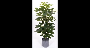 Oosterik home - Scheffelera arboricola 70 cm kunstplant Oosterik Home