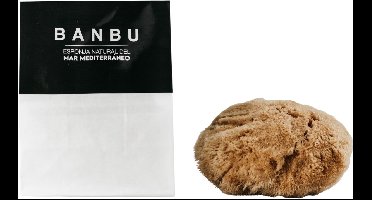Banbu - Natuurlijke spons - Middellandse Zee - Gezicht