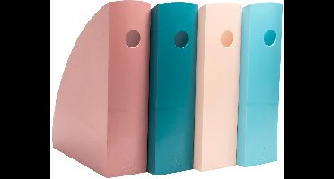 Exacompta Set 4 tijdschriftenhouders MAG-CUBE Skandi - Geassorteerd - 182606SETD