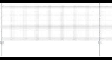 vidaXL - Hek - met - Paal - Zilverkleurig