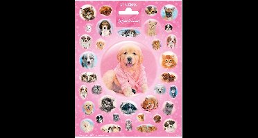 Funny Products Stickers Softies 20 X 15 Cm Papier Roze 35 Stuks